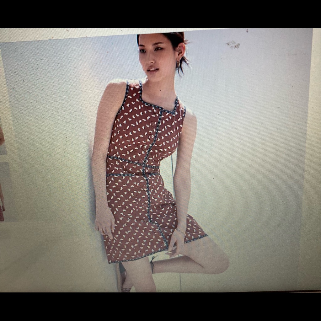Size 12 Anthropology Shift Dress Dress. Nwt